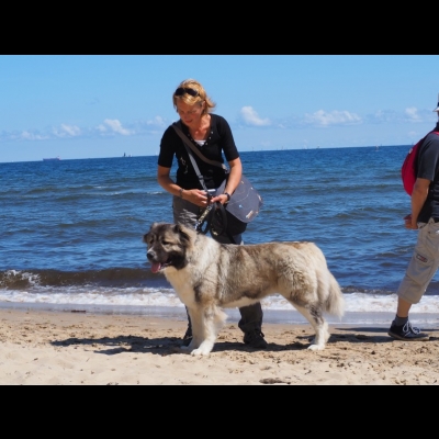 NDS GDYNIA'19 - BAGIRA
